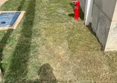 Quality Lawn Sprinkler System Contractor
